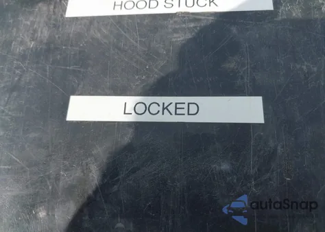 2023 Tesla Model 3 Rear-Wheel Drive из США, поврежденный, VIN 5YJ3E1EA0PF438499